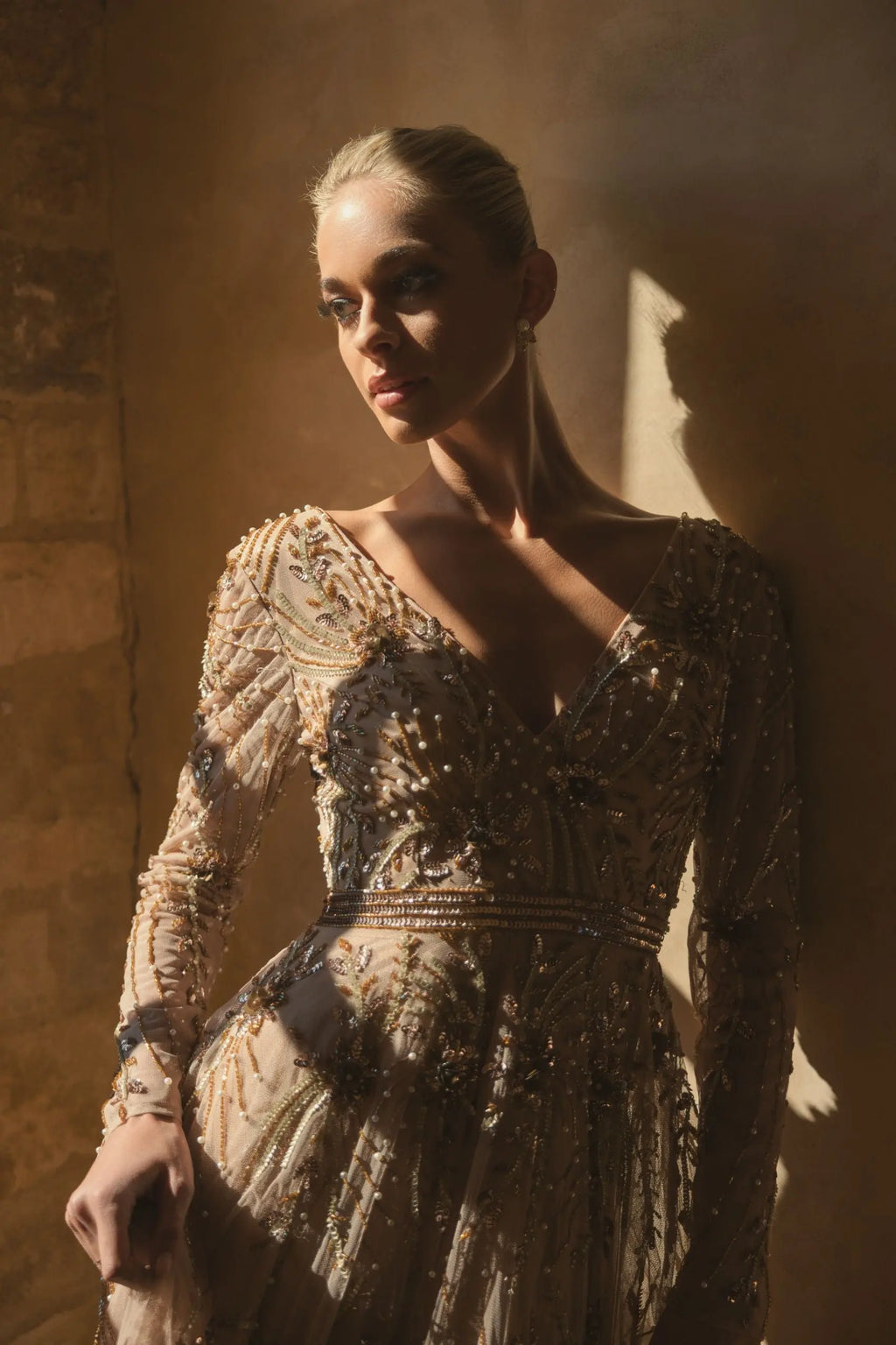 Beige Embellished Sheer Sleeve A-Line Gown