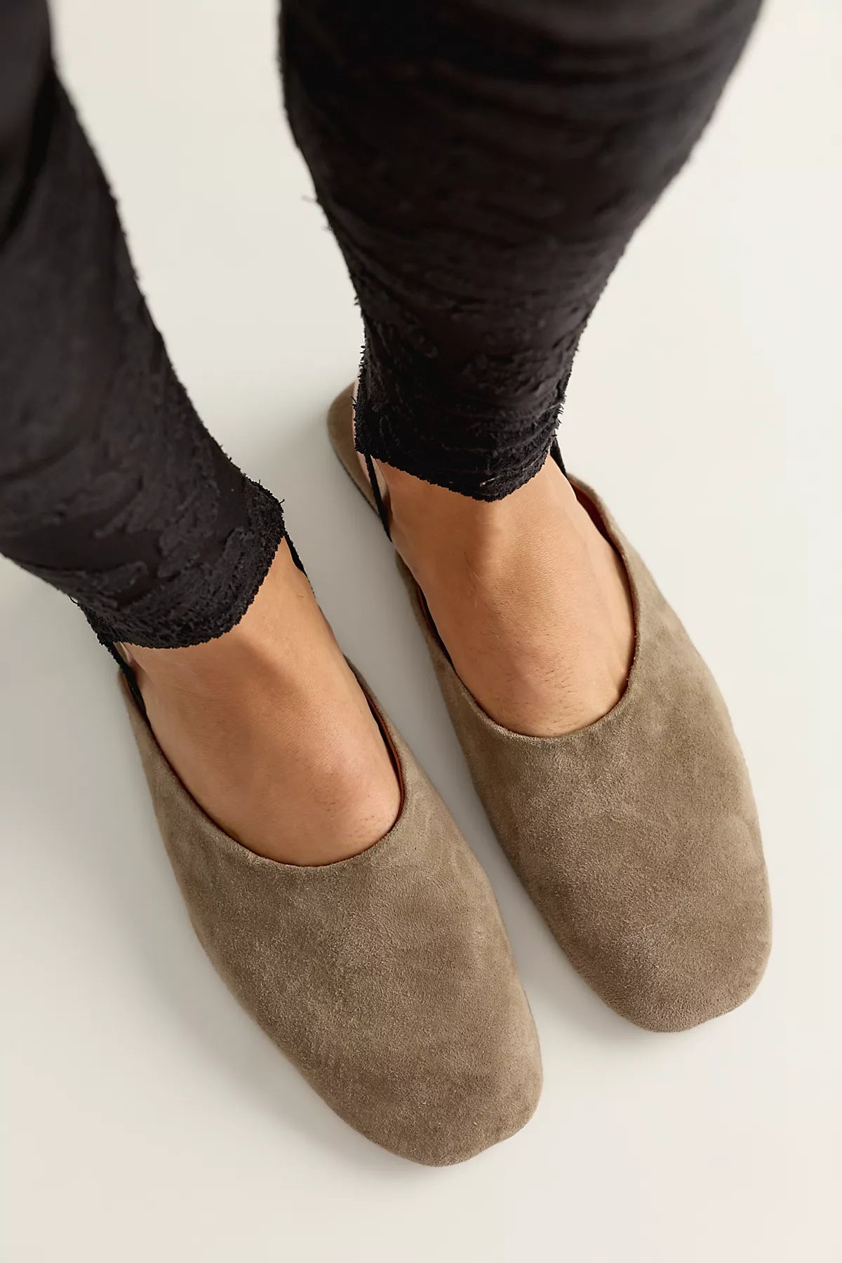House Tour Mules